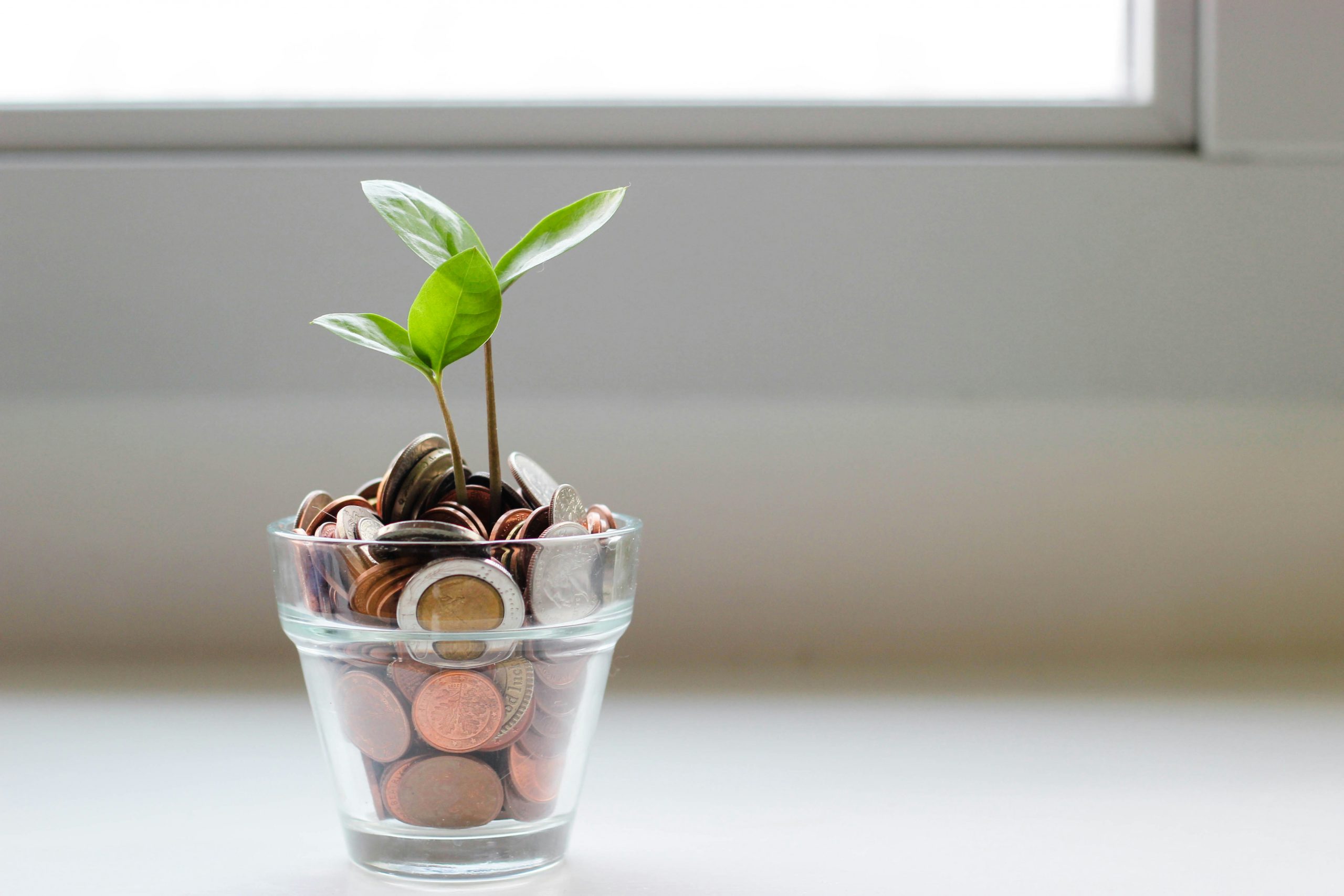 A small, clear, glass planter filled with coins. There are two seedlings growing.